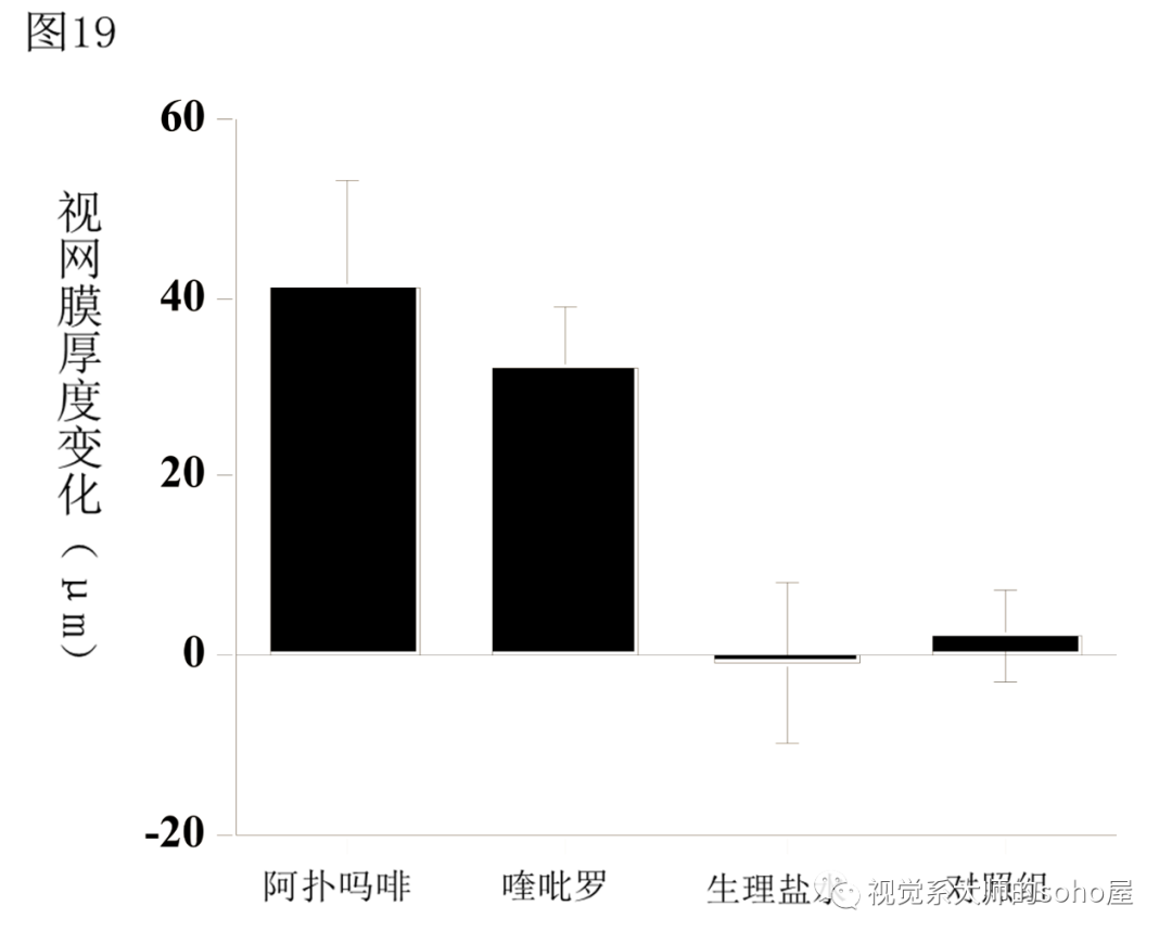 dl250要出新款_dl150和dl250怎么选