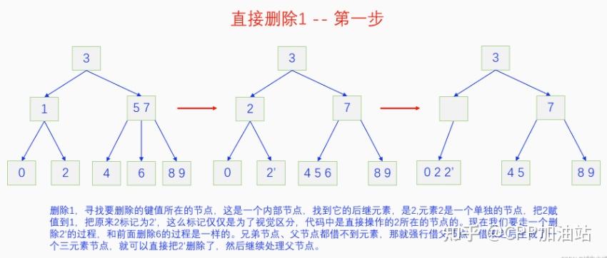 为什么红黑树效率高_红树林生长周期