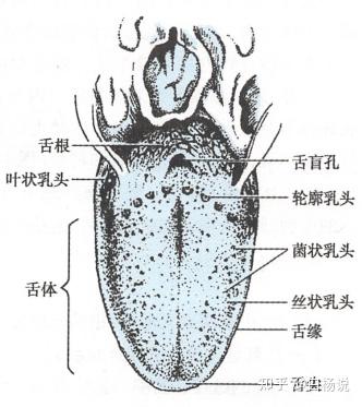 电脑分区表坏了怎么办_电脑分区表坏了怎么办啊