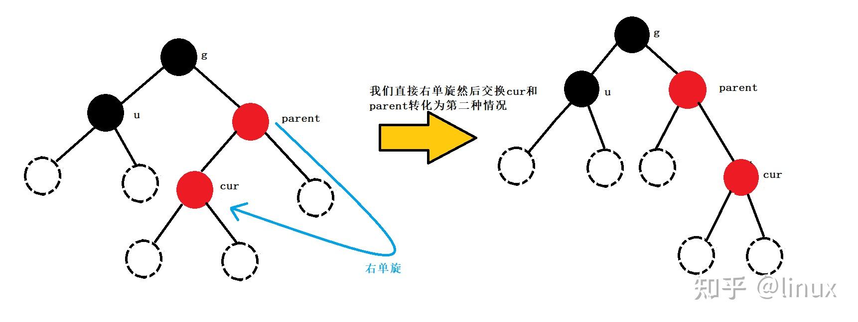 红黑树 是什么树_红血树的功效与作用