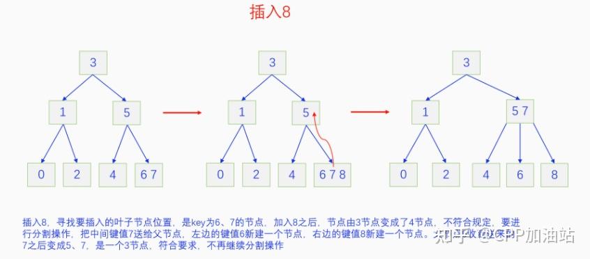 为什么红黑树效率高_红树林生长周期