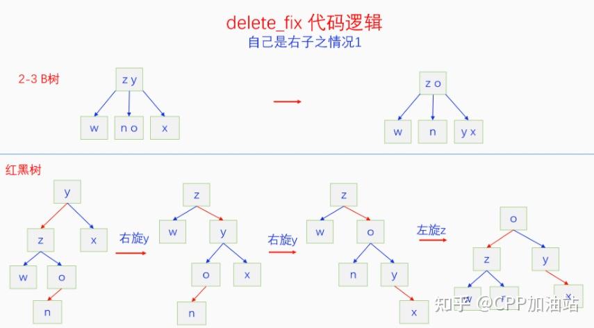 为什么红黑树效率高_红树林生长周期