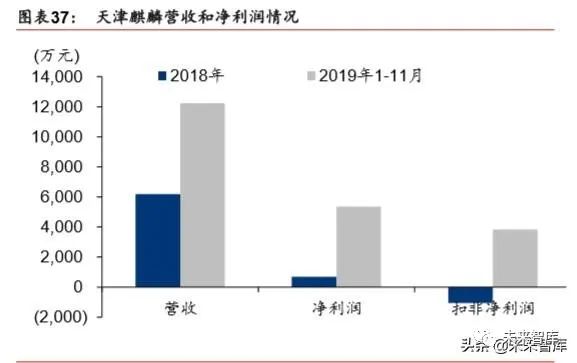 请描述arm内核的三种分类_arm内核和架构