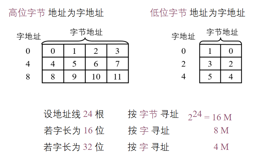 存储器的结构和功能_存储器的结构和功能是什么