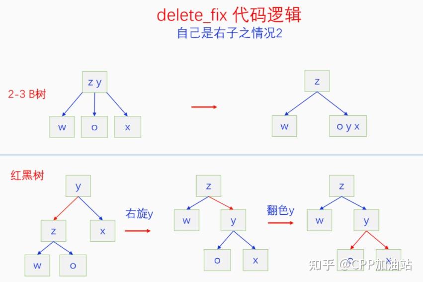 为什么红黑树效率高_红树林生长周期