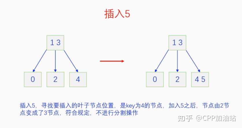 为什么红黑树效率高_红树林生长周期