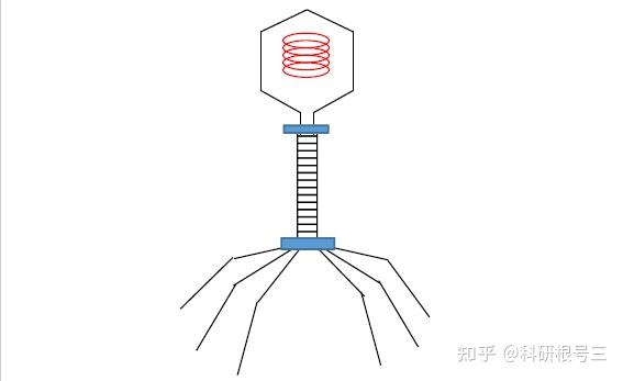 宿主软件和插件_宿主软件哪个好用