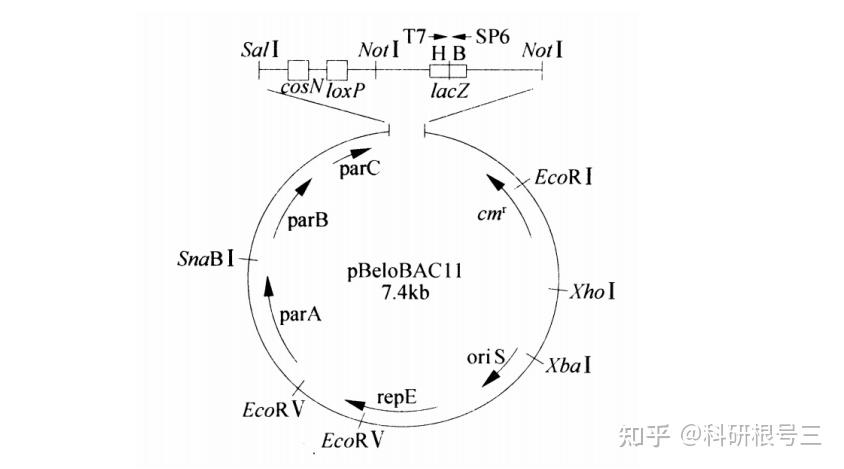 宿主软件和插件_宿主软件哪个好用