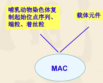 宿主软件和插件_宿主软件哪个好用