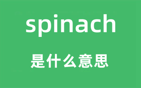 spinach什么意思_spinach什么意思中文翻译