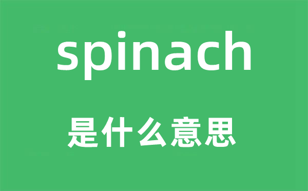 spinach是什么意思,spinach怎么读,中文翻译是什么
