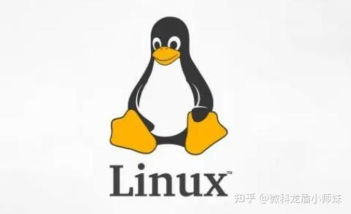 arm和linux的区别_arm架构怎么运行x86的软件