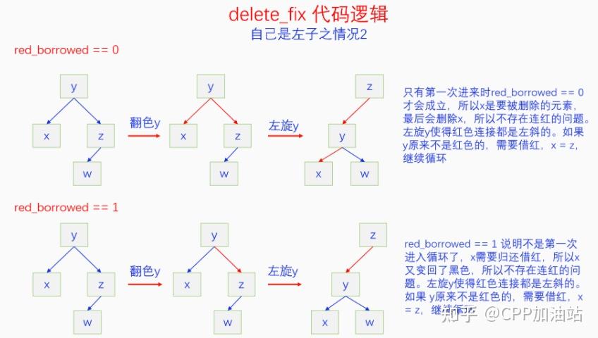 为什么红黑树效率高_红树林生长周期