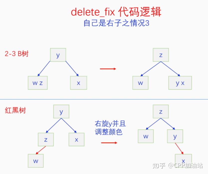 为什么红黑树效率高_红树林生长周期