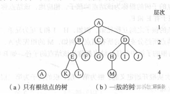 哈夫曼树右子树一定比左子树大吗_哈夫曼树只有度为0和度为2