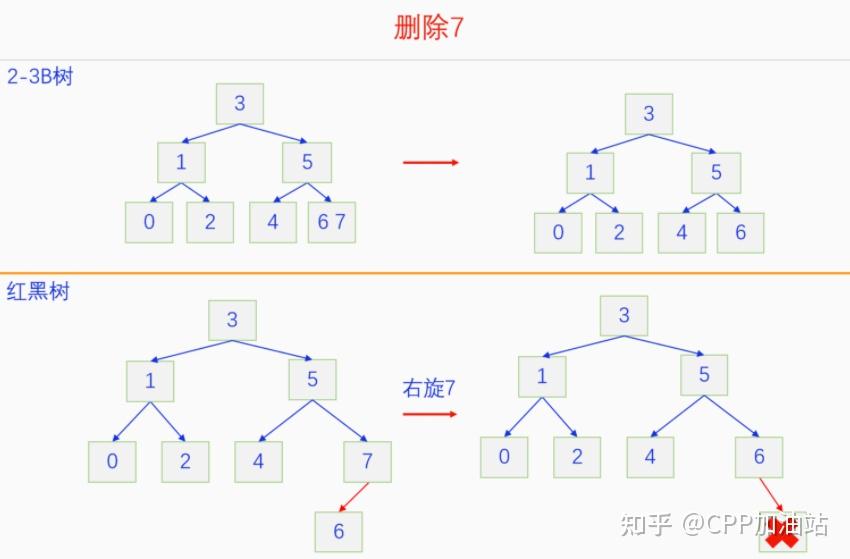 为什么红黑树效率高_红树林生长周期