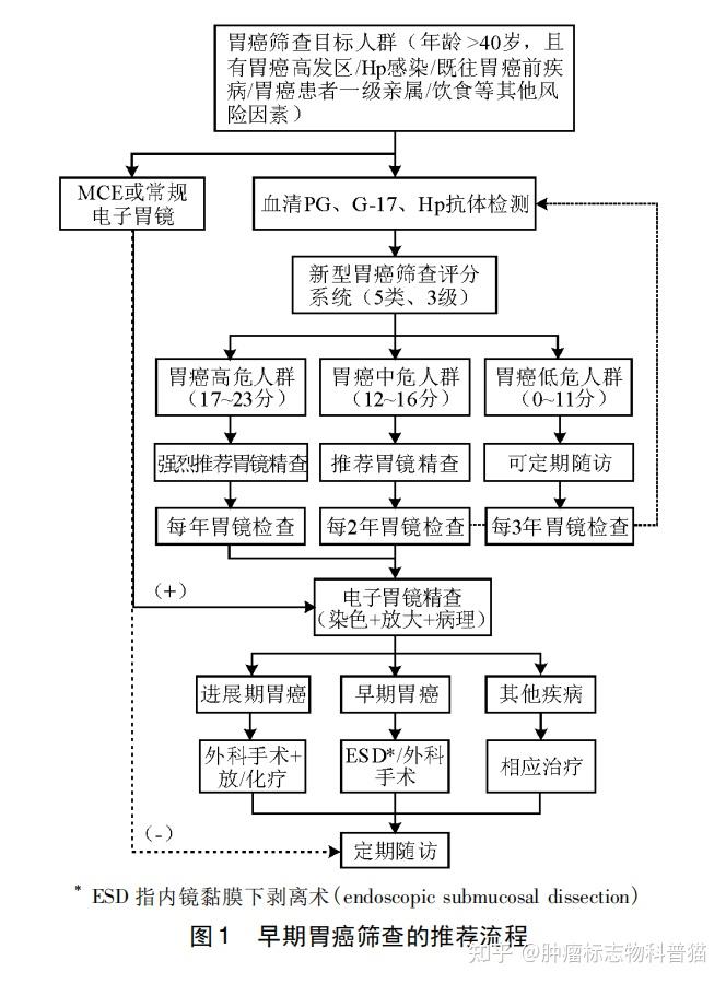 p g是什么意思_pg是什么意思医学