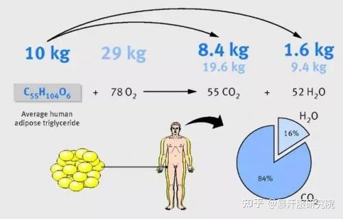 hot和hop_热水用字母是H还是C