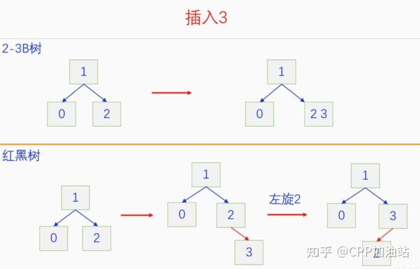 为什么红黑树效率高_红树林生长周期