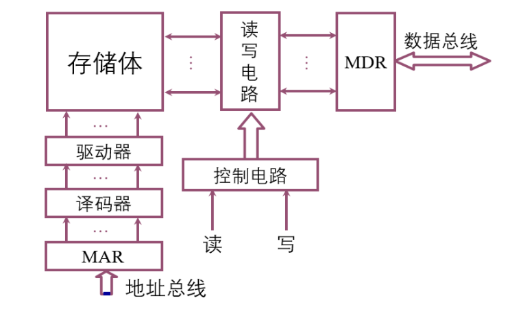 存储器的结构和功能_存储器的结构和功能是什么