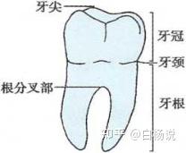 电脑分区表坏了怎么办_电脑分区表坏了怎么办啊