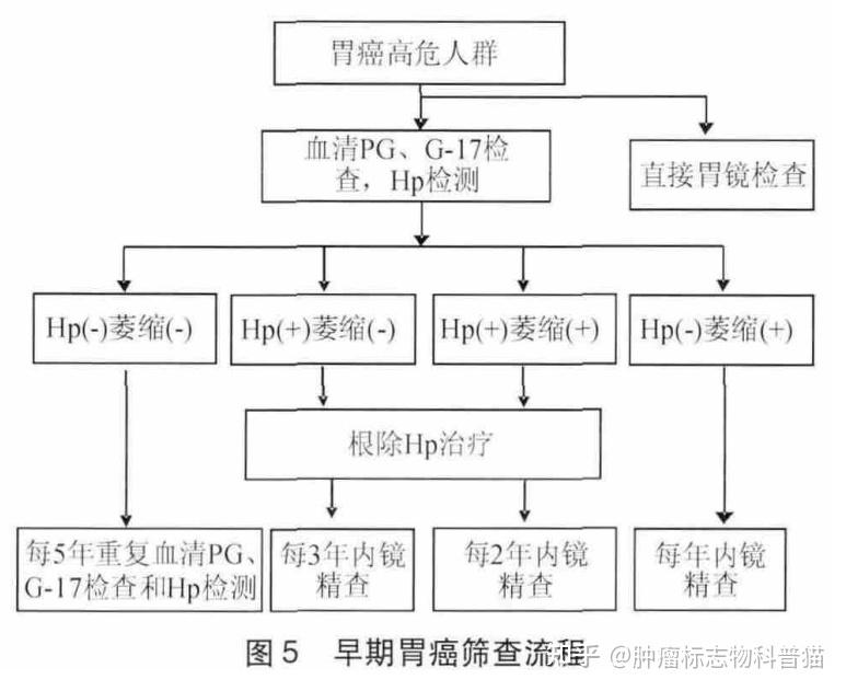 p g是什么意思_pg是什么意思医学