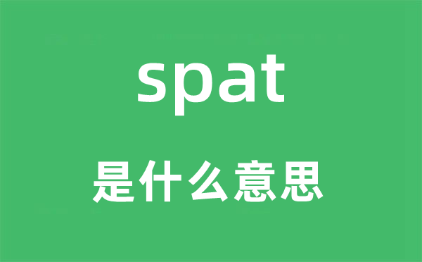 spat是什么意思,spat怎么读,中文翻译是什么