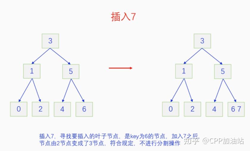 为什么红黑树效率高_红树林生长周期