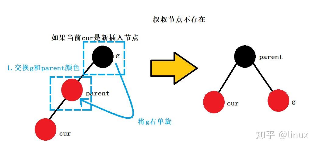 红黑树 是什么树_红血树的功效与作用