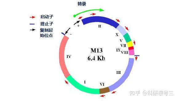 宿主软件和插件_宿主软件哪个好用