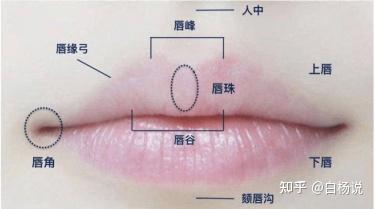 电脑分区表坏了怎么办_电脑分区表坏了怎么办啊