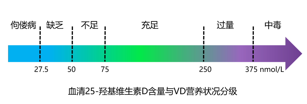 dl250坐高能下调吗_方向盘调高好还是低好