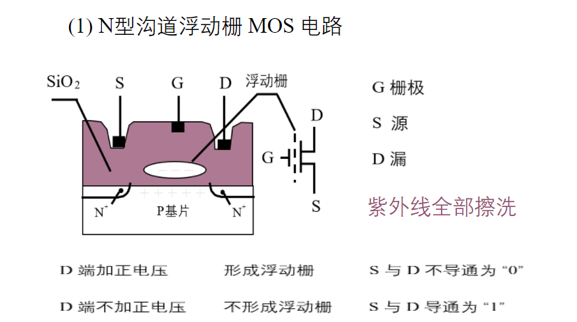 存储器的结构和功能_存储器的结构和功能是什么