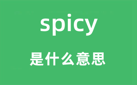 spicy歌词翻译成中文_special歌词中文翻译
