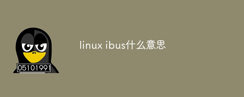 linux ibus什么意思