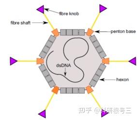 宿主软件和插件_宿主软件哪个好用