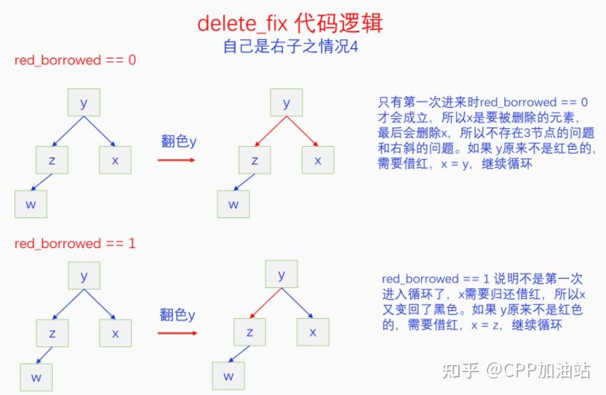 为什么红黑树效率高_红树林生长周期