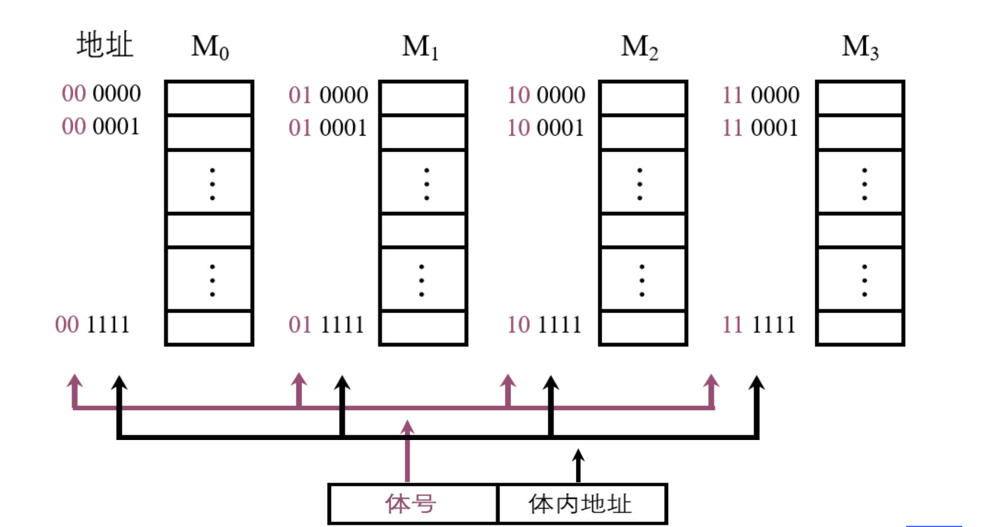 存储器的结构和功能_存储器的结构和功能是什么