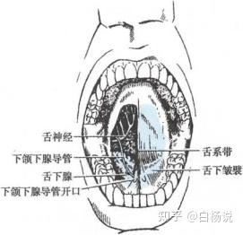 电脑分区表坏了怎么办_电脑分区表坏了怎么办啊