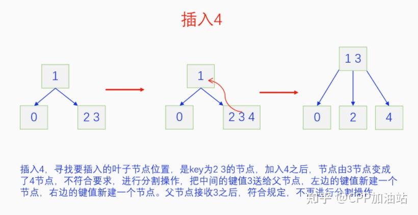 为什么红黑树效率高_红树林生长周期