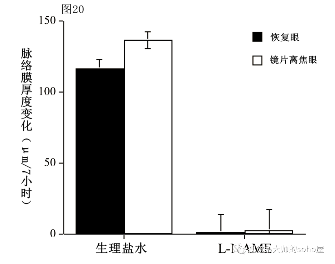 dl250要出新款_dl150和dl250怎么选