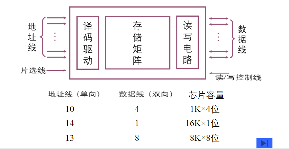 存储器的结构和功能_存储器的结构和功能是什么