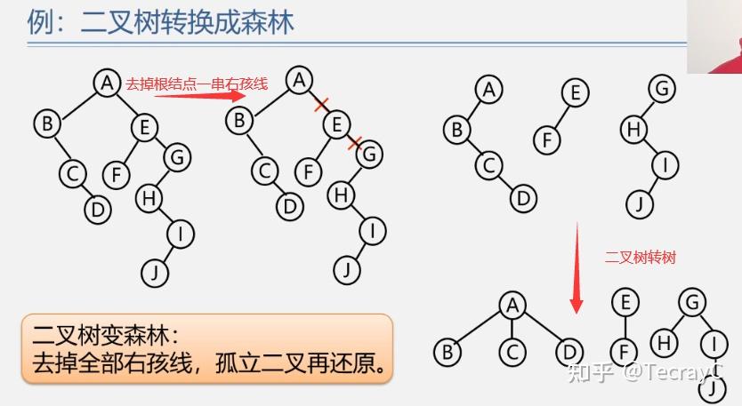 哈夫曼树构建_构造哈夫曼树遇到值相同的点