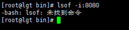 lsof命令找不到_lsof没有这个命令