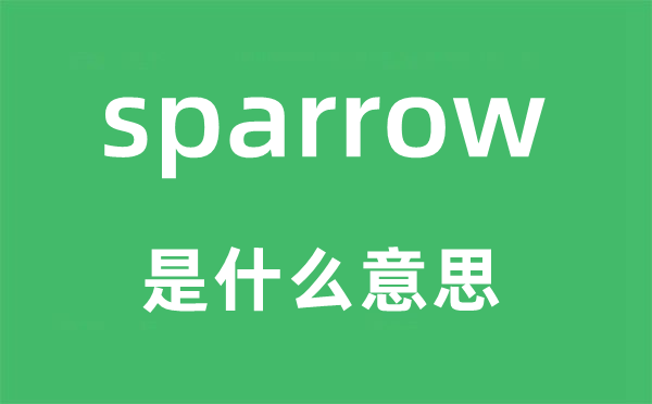 sparrow是什么意思,sparrow怎么读,中文翻译是什么