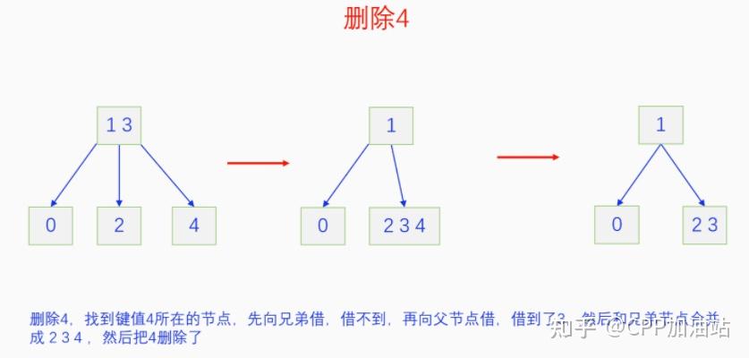 为什么红黑树效率高_红树林生长周期