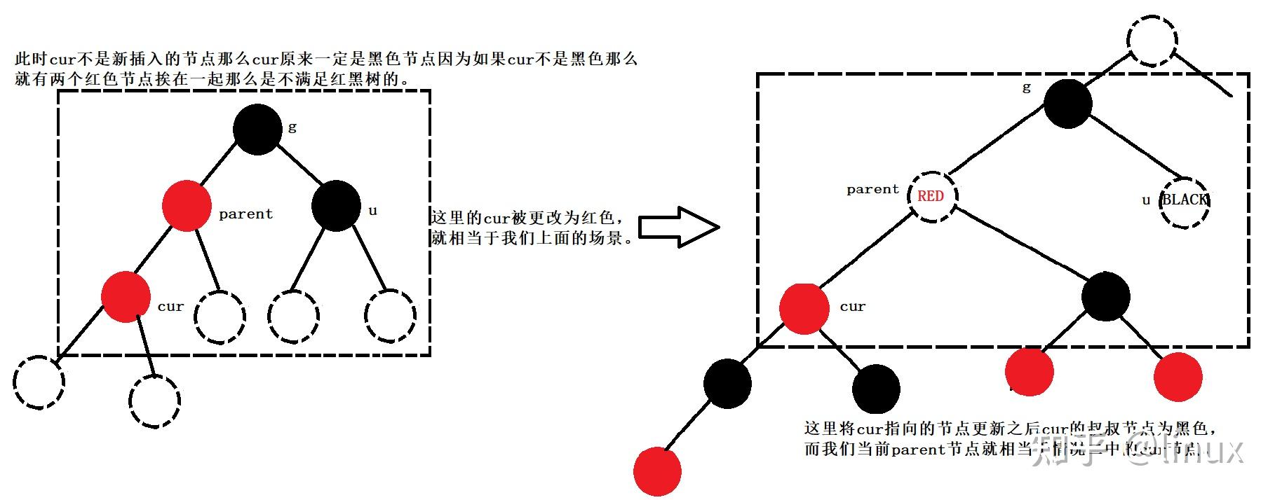 红黑树 是什么树_红血树的功效与作用