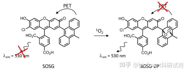 单线态氧捕获剂原理_单线态氧捕获剂TEMP