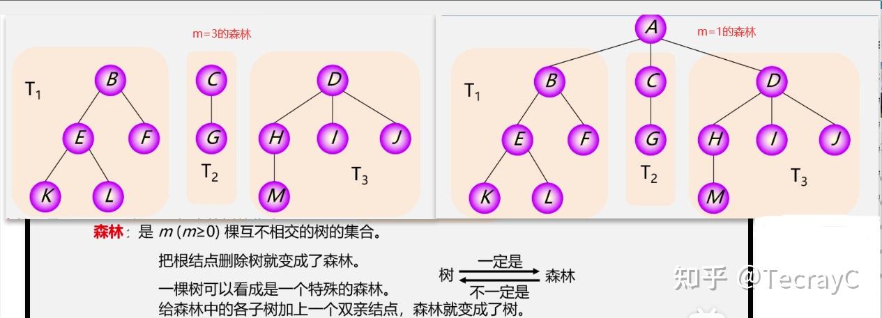 二叉树的后序遍历非递归算法_二叉树层次遍历