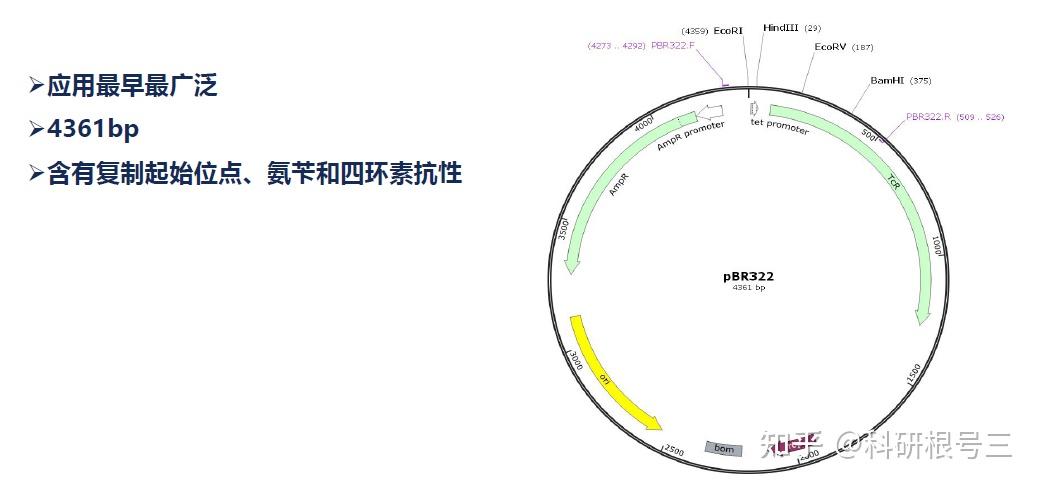 宿主软件和插件_宿主软件哪个好用